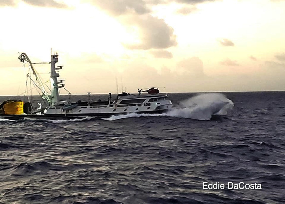 Sea Encounter… San Diego Tuna Boats